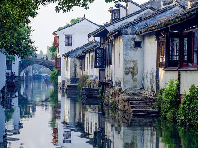 逃离蜥蜴森林